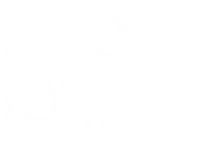 Food for Joe